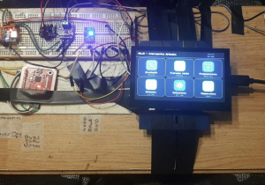 Wygląd Apteczki SALUS